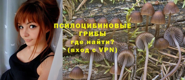 винт Иннополис